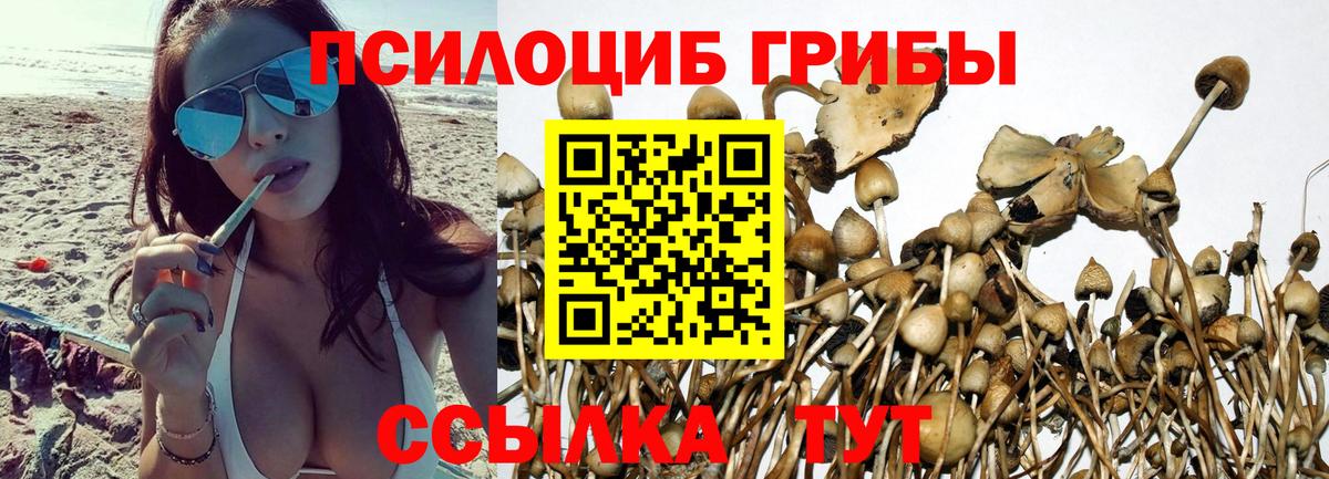 Галлюциногенные грибы прущие грибы  Вход с VPN  Нижневартовск  Псилоцибиновые грибы MAGIC MUSHROOMS 